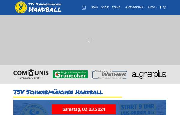 Vorschau von www.handball-schwabmuenchen.de, TSV Handballeabteilung
