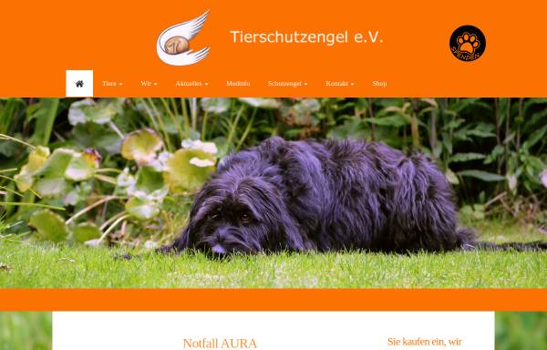 Vorschau von www.tierschutzengel.de, Tierschutzengel