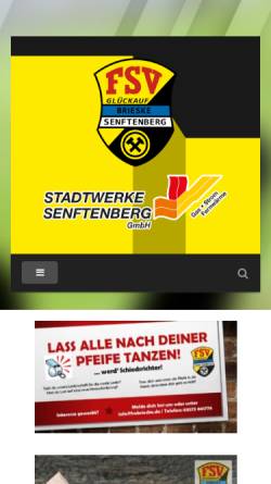 FSV