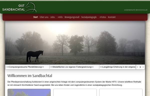 Vorschau von www.gut-sandbachtal.info, Reitschule FN auf Gut Sandbachtal