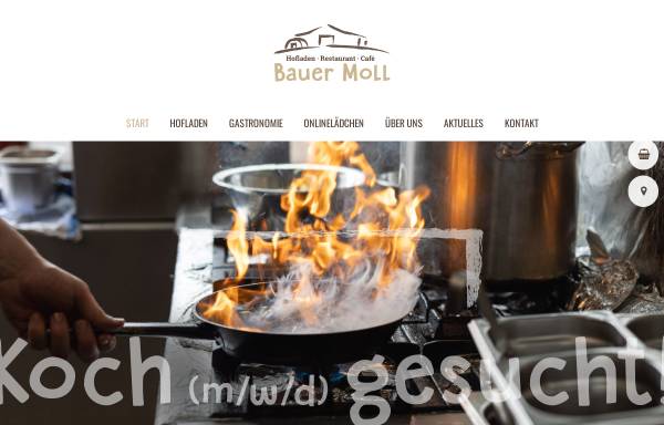 Bauer Moll