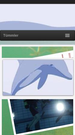 Vorschau der mobilen Webseite www.tuemmler.de, TSC Tümmler e.V.