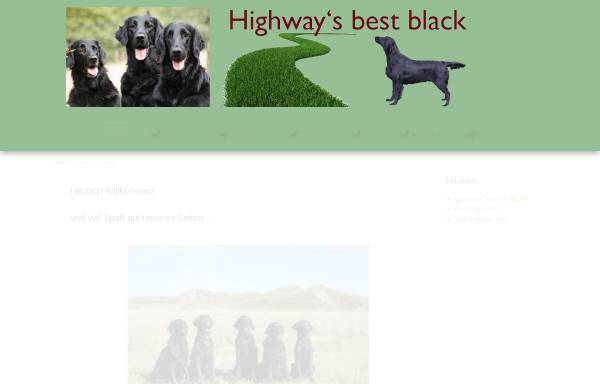 Vorschau von www.highways-best-black.de, Highways Best Black