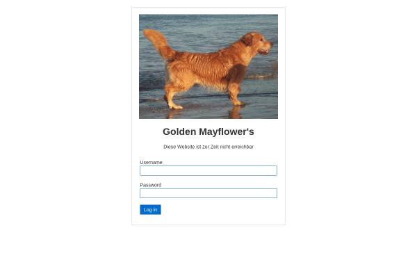 Vorschau von www.goldenmayflowers.de, Golden Mayflowers