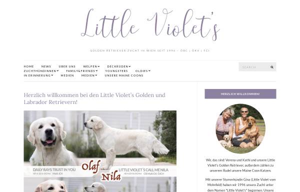 Vorschau von www.goldenretriever.at, Little Violet's