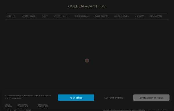 Of Golden Acanthus