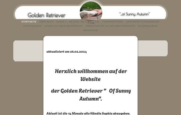 Vorschau von www.golden-retriever-herbst.de, Of Sunny Autumn