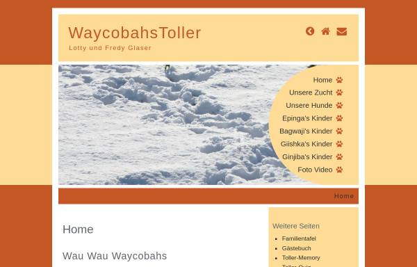Vorschau von www.waycobahstoller.wirzroland.ch, WaycobahsToller