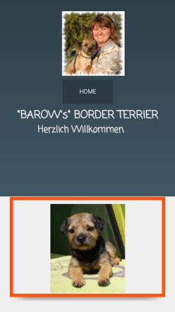 Vorschau der mobilen Webseite www.borderterrierbarows.de, Barrows
