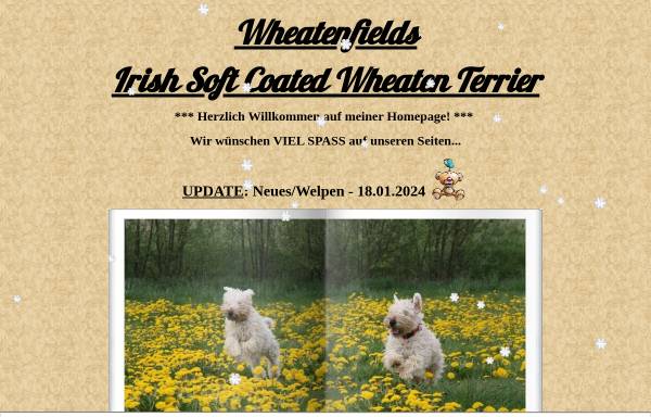 Vorschau von wheatenfields.npage.de, Wheatenfields