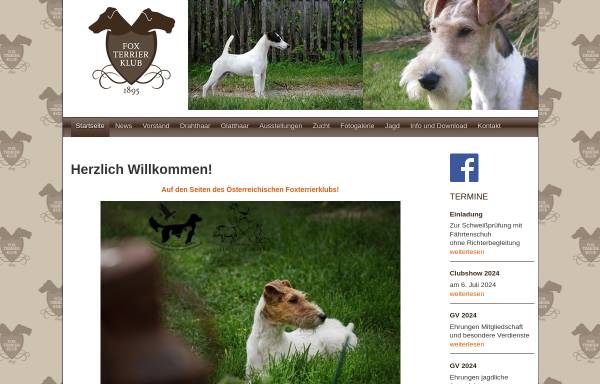 Vorschau von www.foxterrierklub.at, Österreichischer Foxterrier-Klub