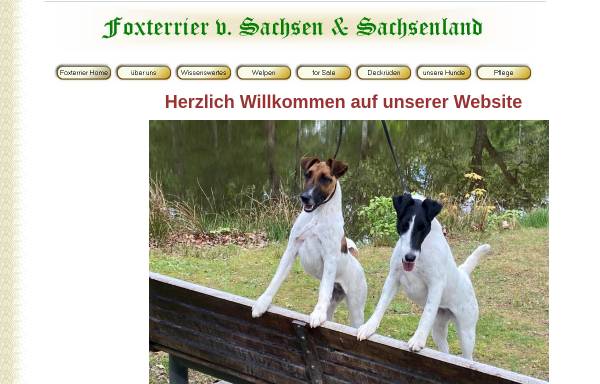 Vorschau von www.foxterrier-sachsen.de, Von Sachsen