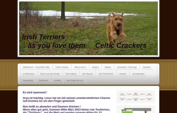 Vorschau von www.celtic-crackers.de, Celtic Crackers