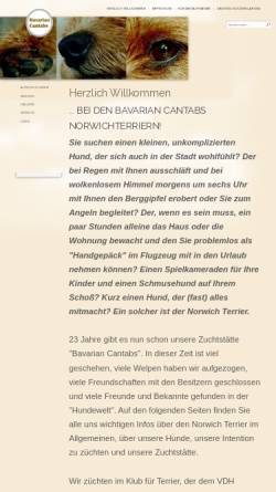 Vorschau der mobilen Webseite www.norwichterrier.de, Bavarian Cantabs