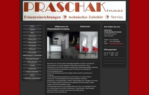 Vorschau von www.praschak-wien.at, Praschak GmbH
