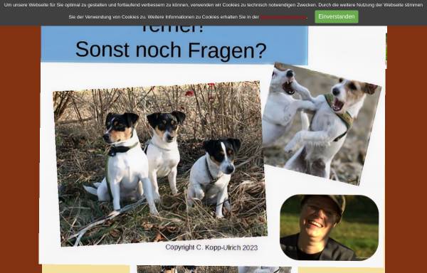 Vorschau von www.tantivy-terriers.de, Tantivy