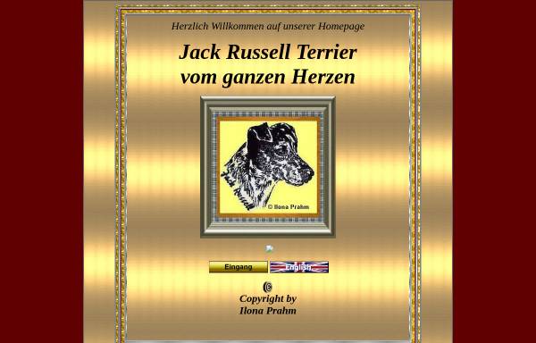 Vorschau von www.jack-russellterrier.de, Vom ganzen Herzen