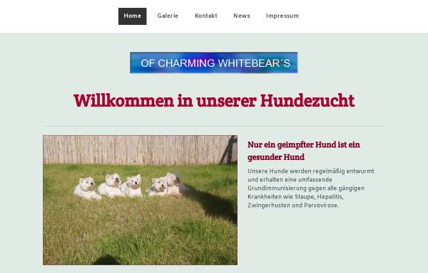 Vorschau von www.westie-homepage.de, Of charming white Beares