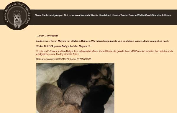 Vorschau von www.norwich.de, Vom Tierfreund