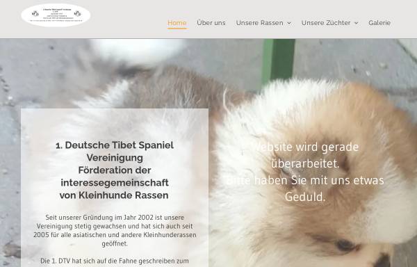 Vorschau von www.tibet-spaniel-dtv.de, 1.Deutsche Tibet-Spaniel Vereinigung