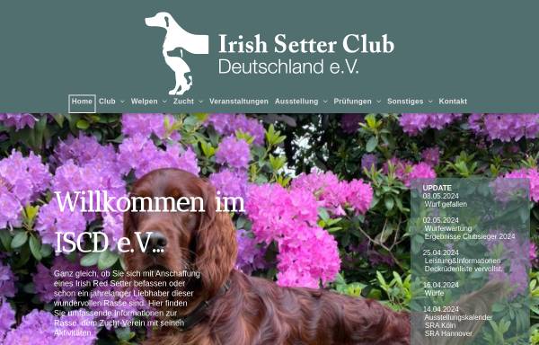 Vorschau von www.irish-setter-club.de, Irish Setter Club Deutschland