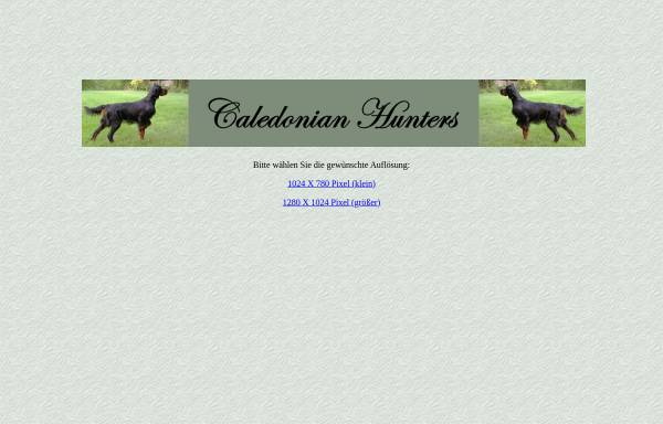 Vorschau von www.caledonian-hunters.de, Caledonian Hunters