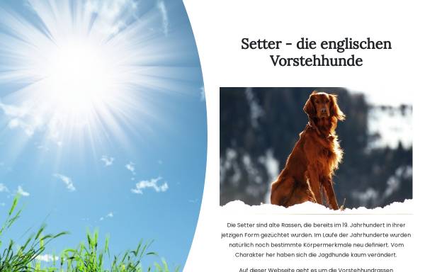 Vorschau von www.sundowners-gordon-setter.de, Sundowners