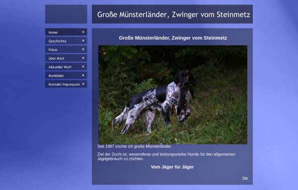 Vorschau von www.vom-steinmetz.de, Vom Steinmetz