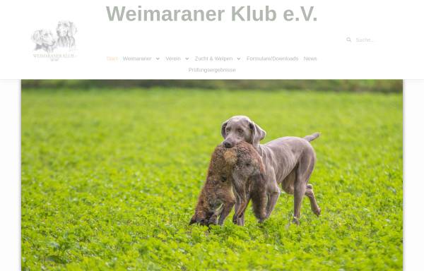 Vorschau von www.weimaraner-nrw.de, Weimaraner Klub Landesgruppe NRW