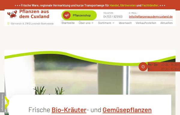 Vorschau von www.krebs-bexhoevede.de, Krebs Jungpflanzen