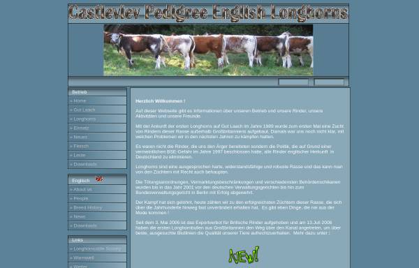 Vorschau von www.cvlonghorns.de, Castleview Longhorns