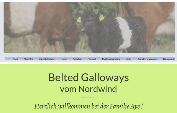 Vorschau von www.belted-galloways.de, Belted Galloways
