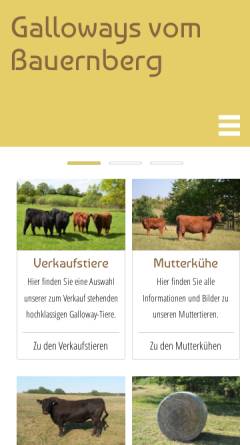 Vorschau der mobilen Webseite bauernberg-galloways.de, Vom Bauernberg - Galloway-Zuchthof Koch GbR