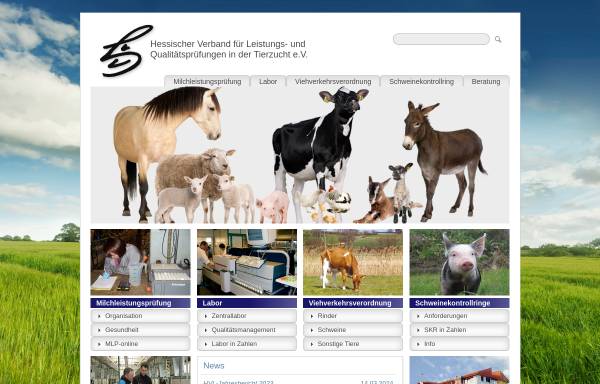 Vorschau von www.hvl-alsfeld.de, Hessischer Verband für Leistungs- und Qualitätsprüfungen in der Tierzucht e.V.