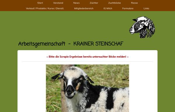 Vorschau von www.krainer-steinschafe.de, Krainer Steinschafe