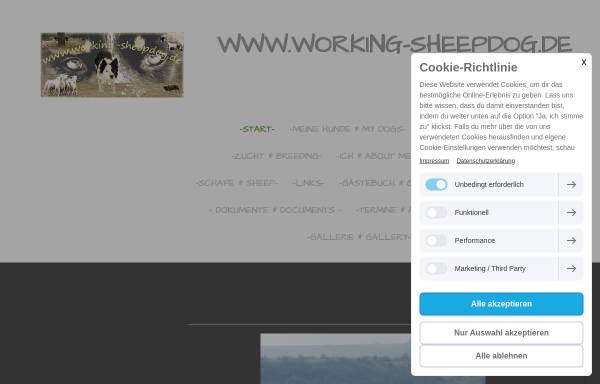 Vorschau von working-sheepdog.jimdo.com, Working Sheepdog - Miriam Appel-Strieder
