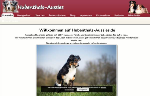 Vorschau von www.hubenthals-aussies.de, Hubenthals