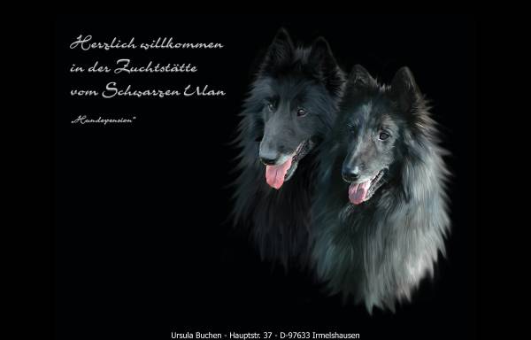Vorschau von www.belgischer-schaeferhund.de, Vom Schwarzen Ulan und vom Quästenberg