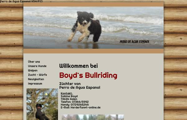 Vorschau von www.australiankelpie-bb.de, Boyds Bullriding