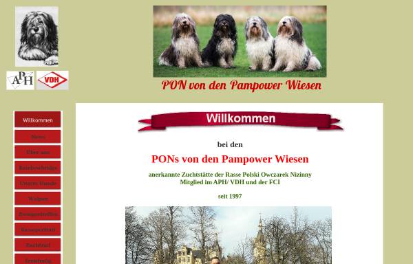 Vorschau von www.pon-pampowerwiesen.de, Von den Pampower Wiesen