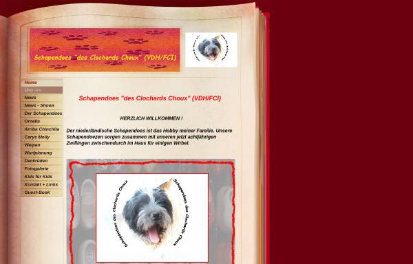 Vorschau von www.schapendoes-online.de, Des Clochards Choux