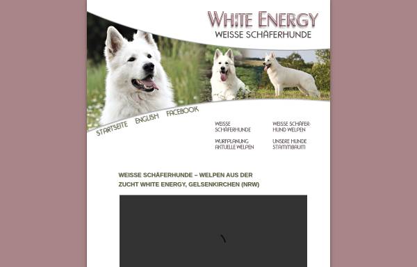 Vorschau von www.white-energy.de, White Energy