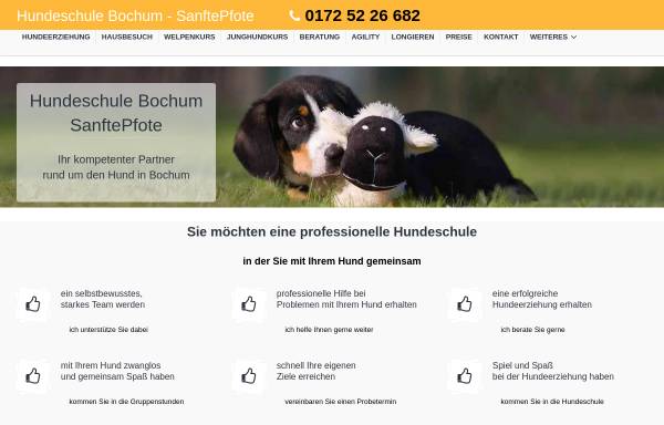Vorschau von www.infosanftepfote.de, Hundeschule Sanfte Pfote