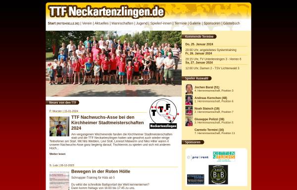Vorschau von ttf-neckartenzlingen.de, Tischtennisfreunden Neckartenzlingen e.V.