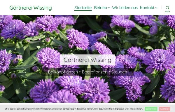 Vorschau von www.gaertnerei-wissing.de, Gärtnerei Wissing