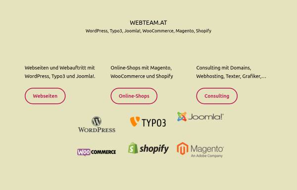 Webteam Software & IT-Marketing