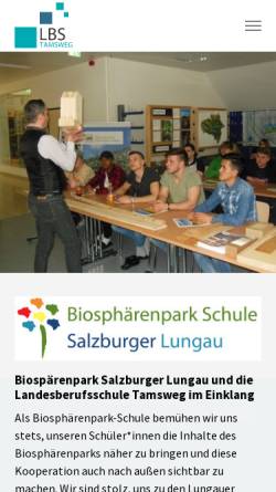 Vorschau der mobilen Webseite www.lbs-tamsweg.salzburg.at, Landesberufsschule Tamsweg