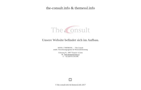 Vorschau von www.the-consult.info, The.Consult