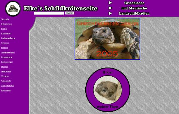 Vorschau von www.fam-rentschler.de, Elkes Schildkrötenseite