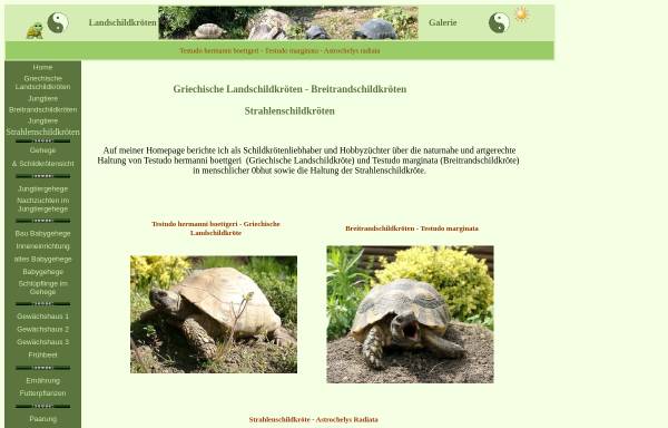 Vorschau von www.landschildkroeten-galerie.de, Europäische Landschildkröten